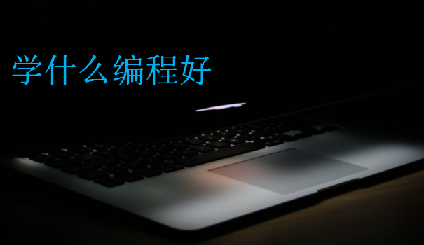 學什么編程好