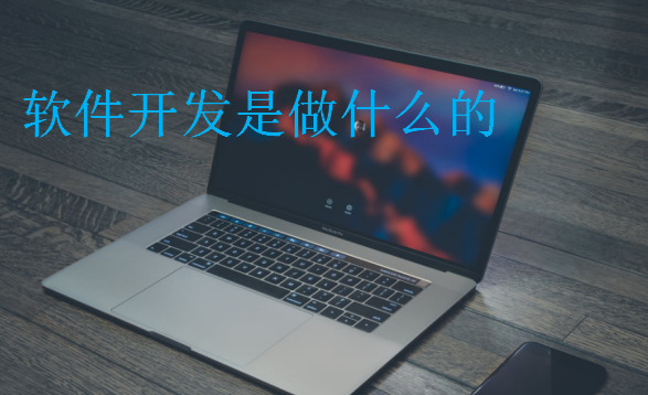 軟件開發是做什么的
