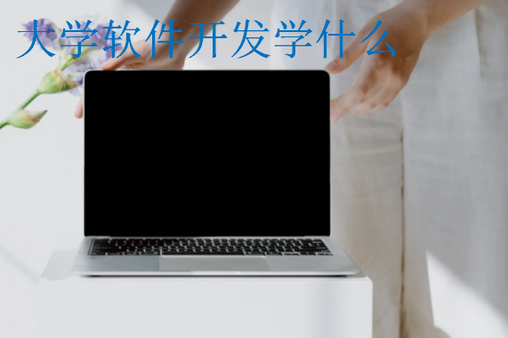 大學(xué)軟件開(kāi)發(fā)學(xué)什么