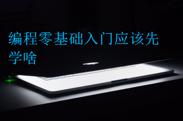 編程零基礎入門應該先學啥