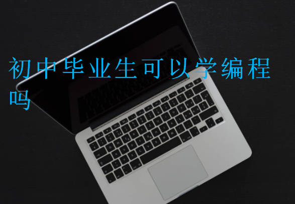 初中畢業生可以學編程嗎