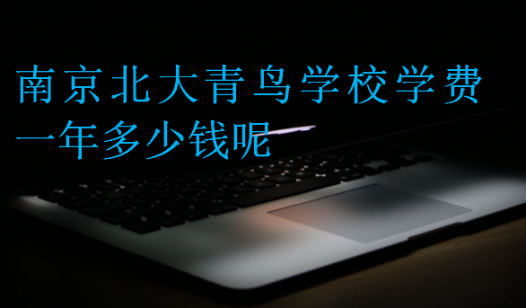 南京北大青鳥學校學費一年多少錢呢