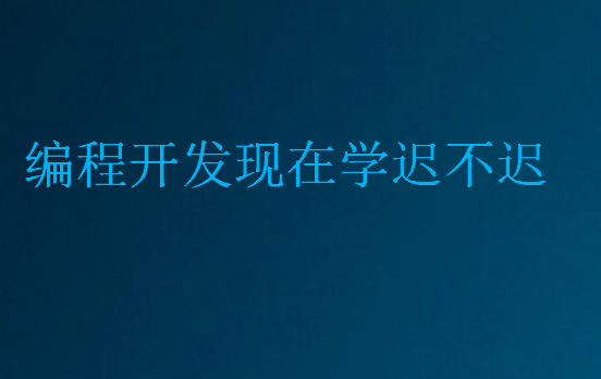 編程開發(fā)現(xiàn)在學(xué)遲不遲