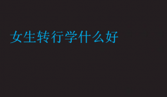 女生轉行學什么好(女生當程序員好嗎)