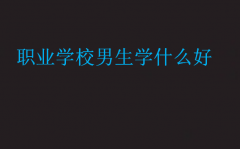 職業學校男生學什么好(男生職校學什么專業好?)