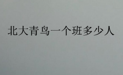2023年中博教育一個(gè)班多少人(中博教育有多少人)