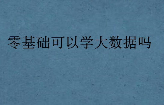 零基礎可以學大數據嗎