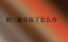 初三被分流了怎么辦(沒考上高中)