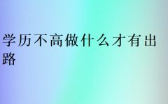 學(xué)歷不高做什么才有出路(提升自己)