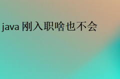 計(jì)算機(jī)科學(xué)學(xué)什么課程(基礎(chǔ)內(nèi)容)