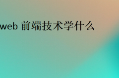 web前端技術(shù)學什么(前端開發(fā)需要掌握的技能)