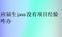 應(yīng)屆生java沒有項目經(jīng)驗咋辦(工作好找嗎)