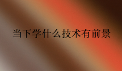 當下學什么技術有前景(可以學互聯網技術嗎)