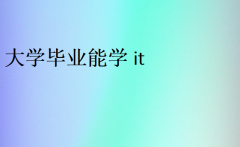 大學畢業能學it(現在學it真的好就業嗎)