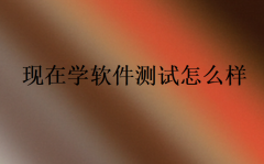 現(xiàn)在學軟件測試怎么樣(2023年學軟件測試)