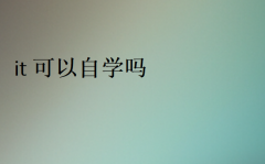 it可以自學嗎(自學和IT培訓哪個好)