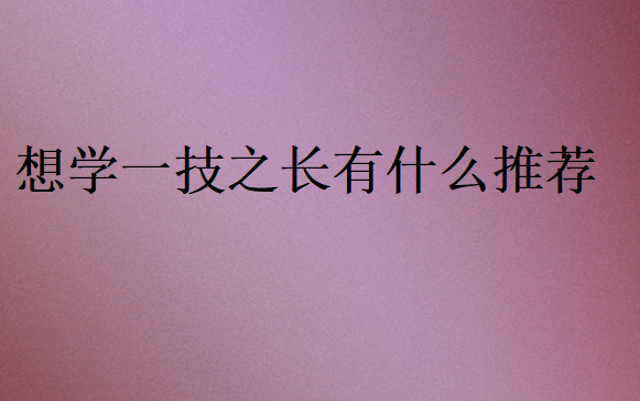 想學一技之長有什么推薦