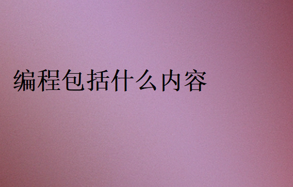 編程是主要學什么